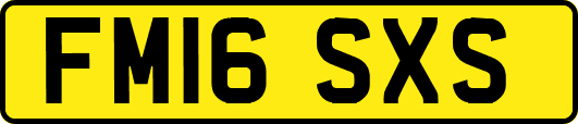 FM16SXS