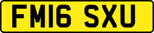 FM16SXU