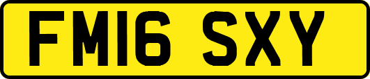 FM16SXY