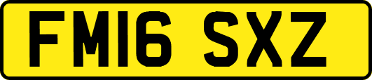 FM16SXZ