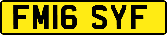 FM16SYF