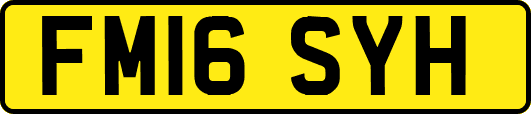 FM16SYH
