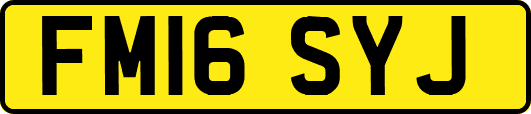 FM16SYJ