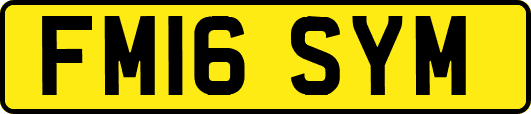 FM16SYM