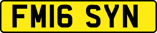 FM16SYN