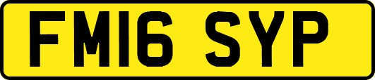 FM16SYP