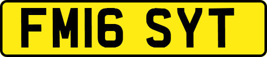 FM16SYT
