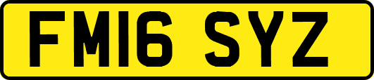 FM16SYZ