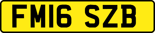 FM16SZB