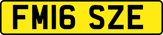 FM16SZE