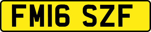 FM16SZF