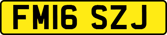 FM16SZJ