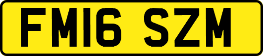 FM16SZM