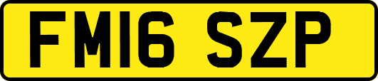 FM16SZP