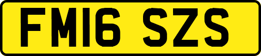 FM16SZS