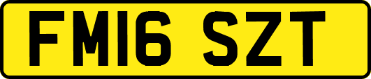 FM16SZT