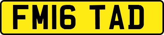 FM16TAD