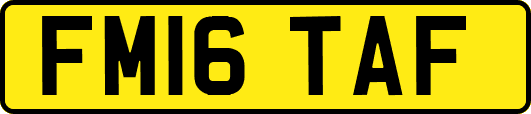 FM16TAF