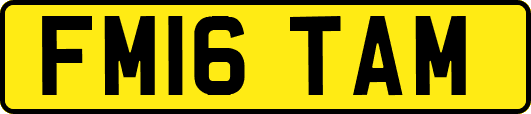 FM16TAM