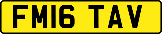 FM16TAV
