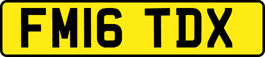 FM16TDX