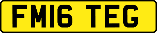 FM16TEG