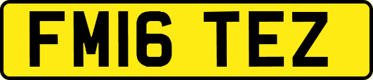 FM16TEZ