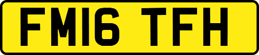 FM16TFH
