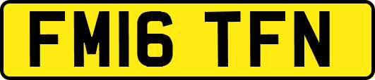 FM16TFN