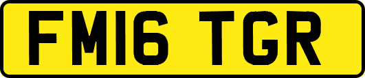 FM16TGR
