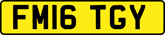 FM16TGY