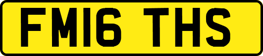 FM16THS