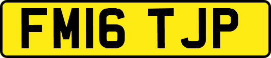 FM16TJP