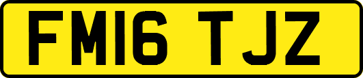 FM16TJZ