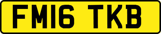 FM16TKB