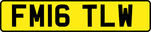 FM16TLW