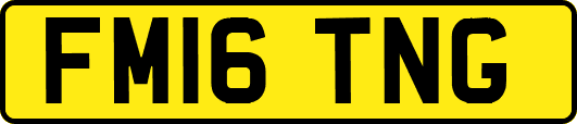 FM16TNG