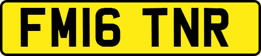 FM16TNR