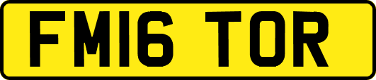 FM16TOR