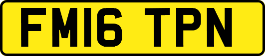 FM16TPN