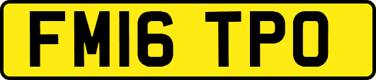 FM16TPO