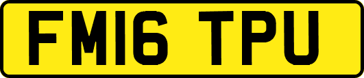 FM16TPU