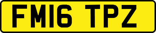 FM16TPZ