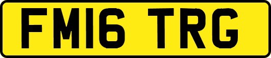 FM16TRG