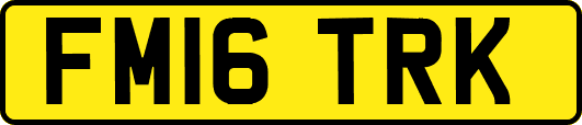 FM16TRK