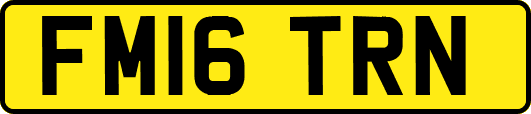FM16TRN
