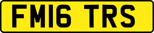 FM16TRS