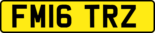 FM16TRZ