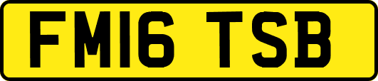 FM16TSB
