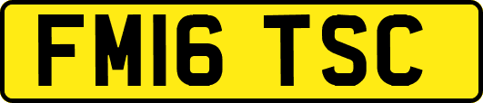 FM16TSC